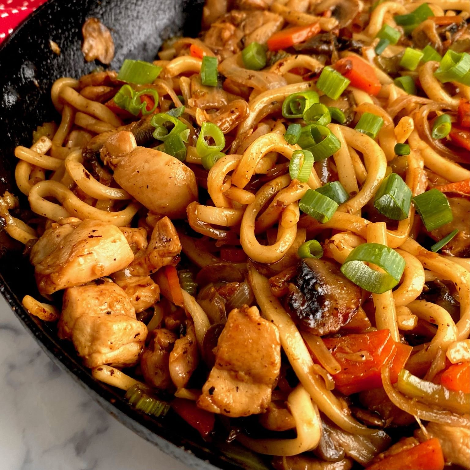 Chicken Yaki Udon Noodles