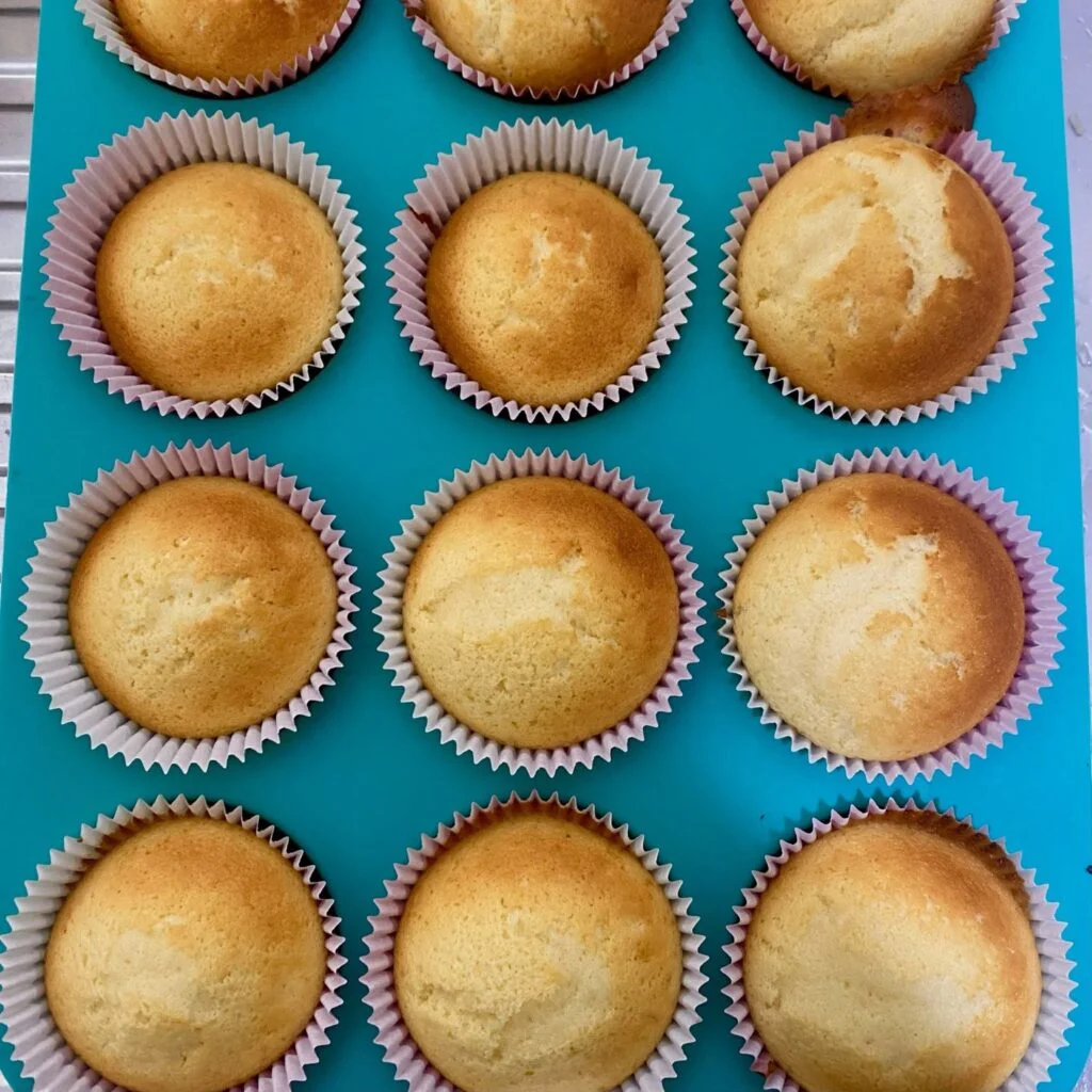 Vanilla Cupcakes freshly baked