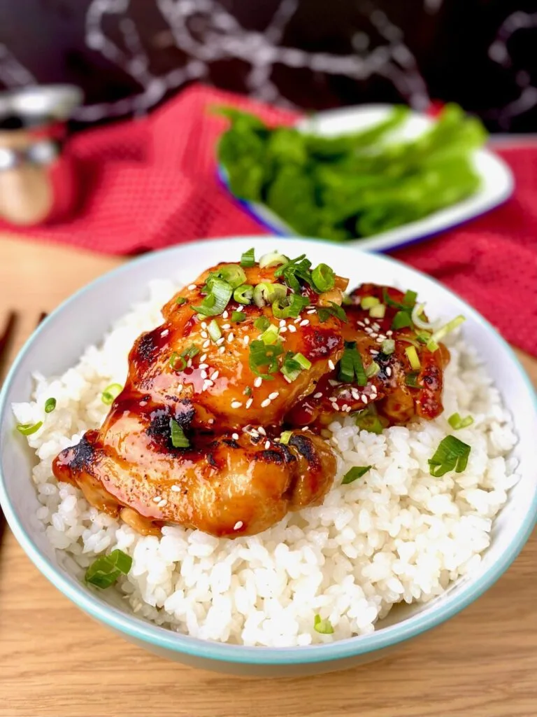 Homemade Chicken Teriyaki on Rice