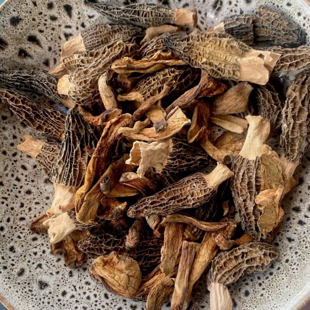 Dried Morel Mushrooms for Risotto